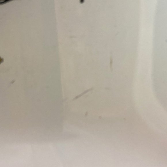 Austin glass trinket dish - Picture 5 of 6